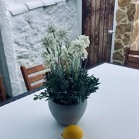 Casa Limon